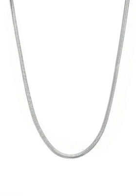 silver-tone snake chain necklace with a sleek, modern design