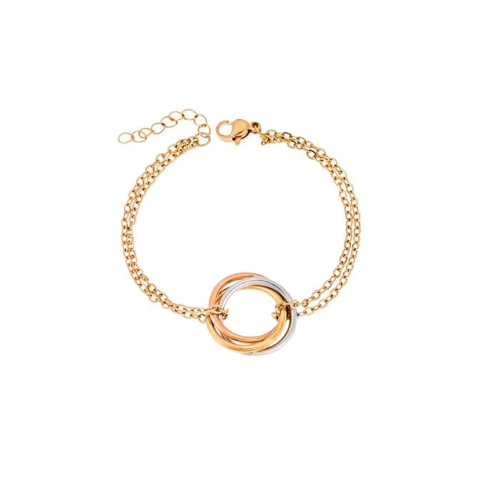 Elegant gold bracelet with interlocking rings, featuring a double-chain design and a mix of gold, rose gold, and silver tones.